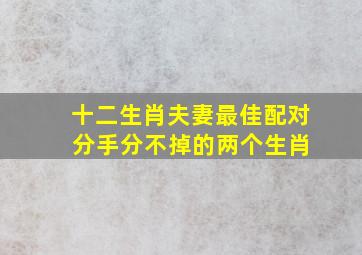 十二生肖夫妻最佳配对 分手分不掉的两个生肖